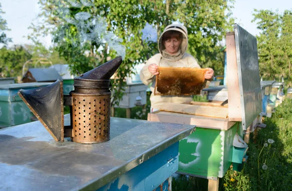 Пчеловод Контролирует Улей Гребень Апикультура — стоковое фото