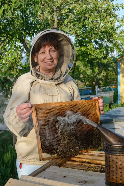 養蜂家は蜂の巣と櫛のフレームを制御します — ストック写真