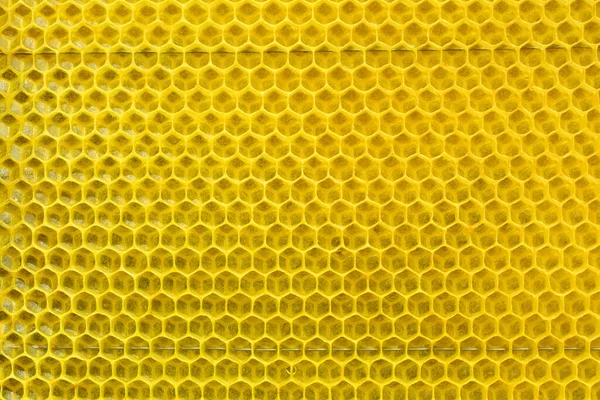 Méhek Sejtet Építettek Méznek Méz Fésű Háttér Vagy Textúra — Stock Fotó