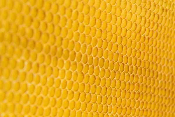 Achtergrond Textuur Patroon Van Een Deel Van Honingraat Bijenteelt — Stockfoto