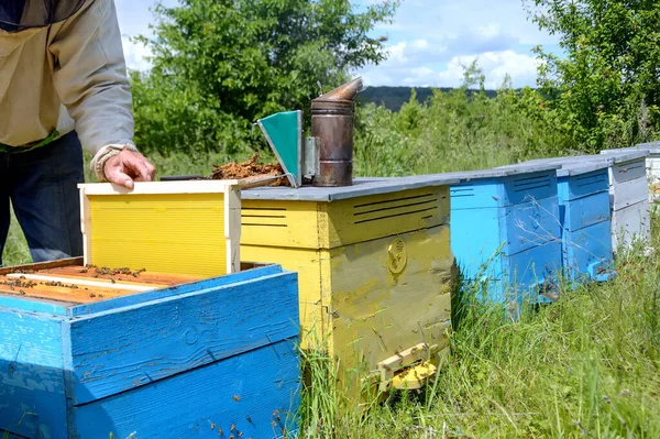 Imker Plaatst Korf Een Nieuw Kader Voor Honing Honingraat Bijenteelt — Stockfoto