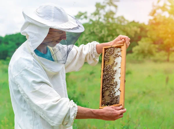 Μελισσοκόμος Δουλεύει Μέλισσες Και Μελίσσια Στο Μελισσοκομείο Μελισσοκόμος Στο Μελισσοκομείο — Φωτογραφία Αρχείου