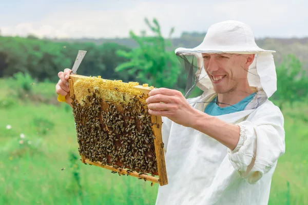 養蜂家はミツバチを手に蜂蜜細胞を持っている 食欲をそそる — ストック写真