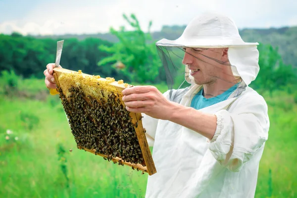 養蜂家は蜂でいっぱいのハニカムを持っています 保護作業服の養蜂家は 臨時でハニカムフレームを検査します 養蜂の概念 — ストック写真