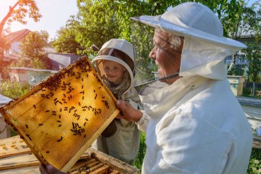 Tecrübeli arı yetiştiricisi büyükbaba torununa arılarla ilgilenmeyi öğretiyor. Apiculture. Tecrübe aktarımı kavramı
