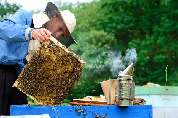 Een Imker Die Een Honingraat Vol Bijen Vasthoudt Bijenhouder Beschermende — Stockfoto