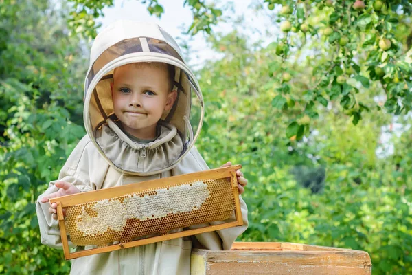 Jonge Imker Werkt Een Bijenkorf Bijenkorf Apiarium Bijen Bijenteelt — Stockfoto
