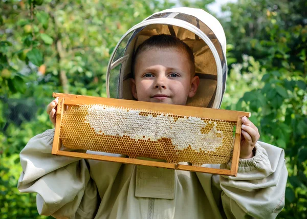 Der Imkerjunge Arbeitet Bienenstock Bienenstock Bienenzucht — Stockfoto