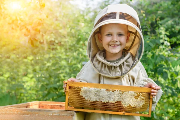 Der Imkerjunge Hält Eine Bienenwabe Mit Frischem Honig Der Hand — Stockfoto