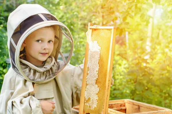 Jonge Imker Werkt Een Bijenkorf Bijenkorf Apiarium Bijen Bijenteelt — Stockfoto