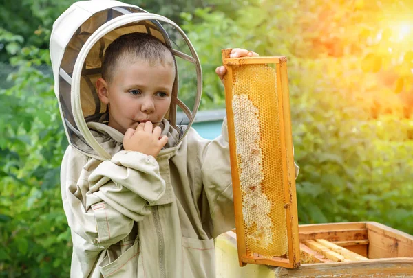 Der Imkerjunge Isst Frischen Honig Direkt Aus Dem Bienenstock Honig — Stockfoto