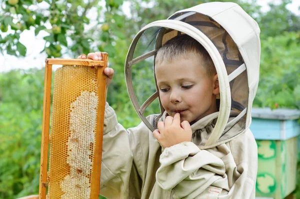 这个男孩养蜂人从蚜虫上的蜂蜜细胞中保存新鲜蜂蜜 新鲜蜂蜜及苹果 — 图库照片