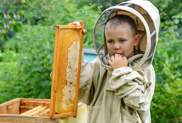 少年養蜂家は 桃の上の蜂蜜細胞から新鮮な蜂蜜を保存します フレッシュハニー Apiculture — ストック写真