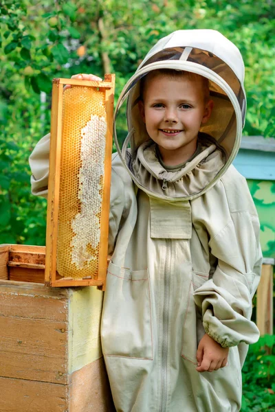 Der Imkerjunge Hält Eine Bienenwabe Mit Frischem Honig Der Hand — Stockfoto