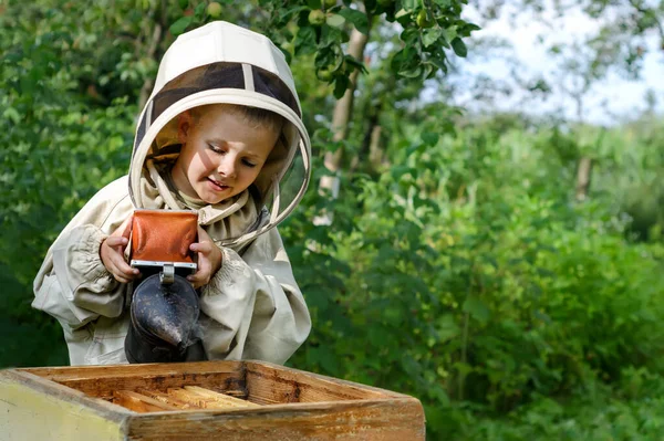 Boy Peternak Lebah Bekerja Pada Peternakan Lebah Dekat Sarang Dengan — Stok Foto