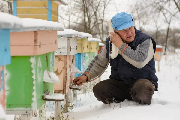 Inverno Sull Apiario Inverno Degli Apicoltori Controlla Stato Delle Api — Foto Stock