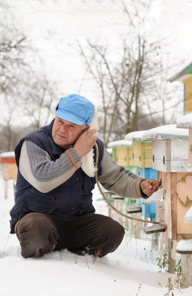 Inverno Sull Apiario Inverno Degli Apicoltori Controlla Stato Delle Api — Foto Stock