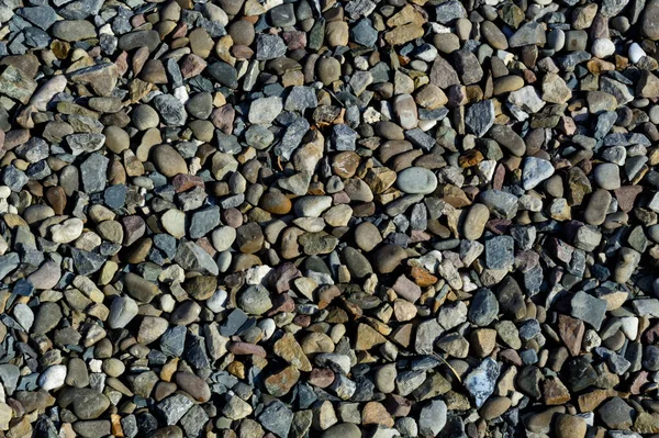 Gri Deniz Çakıllarının Doğa Arka Planı Doku — Stok fotoğraf