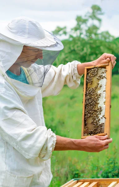 Apicultor Sosteniendo Panal Lleno Abejas Apicultor Ropa Trabajo Protectora Inspeccionando —  Fotos de Stock