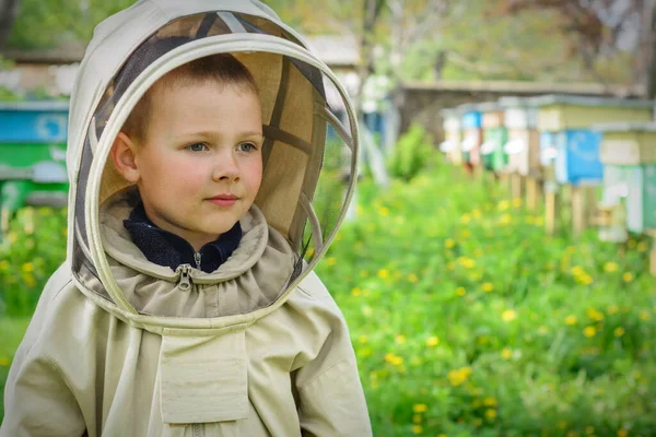 Αγόρι Την Προστατευτική Μελισσοκόμος Εργάζεται Ένα Μελισσοκομείο Αρπακτικό — Φωτογραφία Αρχείου