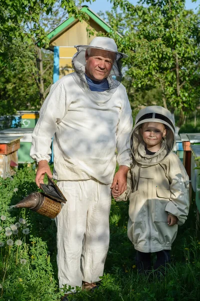 经验丰富的养蜂人祖父教他的孙子照顾蜜蜂 经验转让的概念 — 图库照片