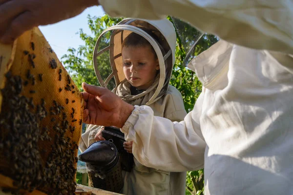 Ervaren Grootvader Van Imker Leert Zijn Kleinzoon Voor Bijen Zorgen — Stockfoto