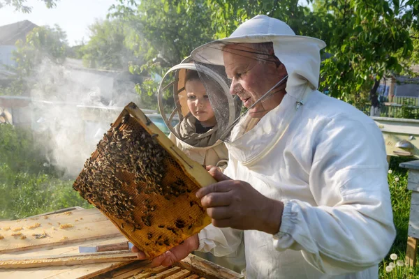 Abuelo Apicultor Experimentado Enseña Nieto Cuidar Las Abejas Apicultura Concepto —  Fotos de Stock