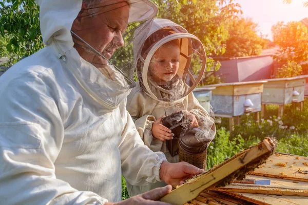 Tecrübeli arı yetiştiricisi büyükbaba torununa arılarla ilgilenmeyi öğretiyor. Apiculture. Tecrübe aktarımı kavramı