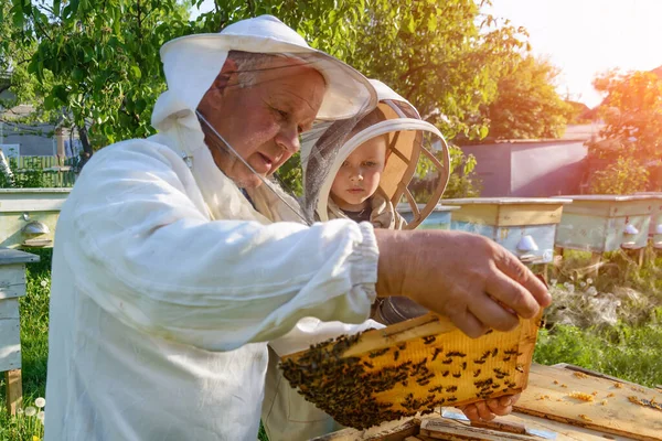 Έμπειρος Μελισσοκόμος Παππούς Διδάσκει Στον Εγγονό Του Φροντίζει Τις Μέλισσες — Φωτογραφία Αρχείου
