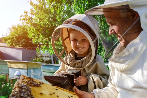 Опытный Пчеловод Передает Знание Пчеловодства Маленькому Пчеловоду Концепция Передачи Опыта — стоковое фото