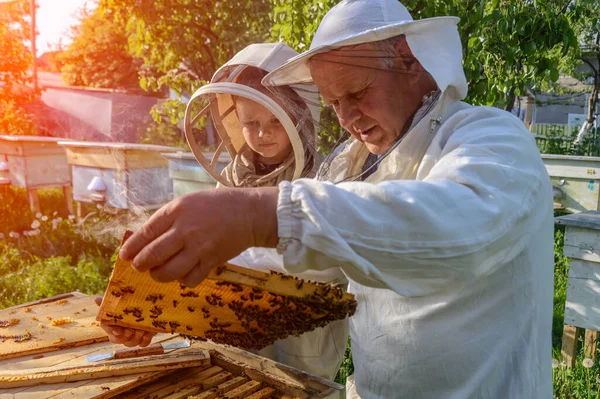 Ervaren Grootvader Van Imker Leert Zijn Kleinzoon Voor Bijen Zorgen — Stockfoto