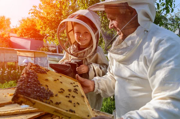Έμπειρος Μελισσοκόμος Παππούς Διδάσκει Στον Εγγονό Του Φροντίζει Τις Μέλισσες — Φωτογραφία Αρχείου