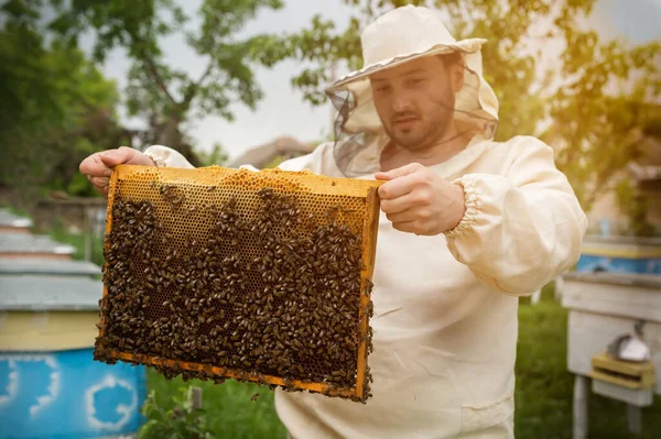 養蜂家は養蜂家の蜂や養蜂家と協力しています — ストック写真