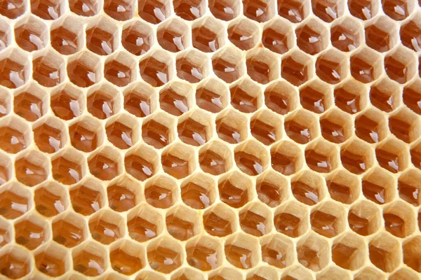 Die Honigzelle Wird Mit Frischem Honig Gefüllt Honigwaben Das Produkt Stockfoto