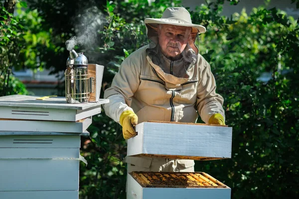 Bijenhouder Bijenstal Imker Werkt Met Bijen Bijenkorven Bijenstal — Stockfoto