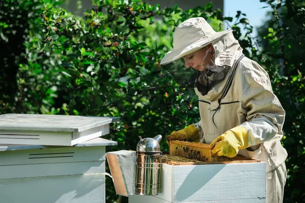 Νεαρή Μελισσοκόμος Κρατά Ξύλινο Πλαίσιο Κηρήθρα Μάζεψε Μέλι Έννοια Μελισσοκομίας — Φωτογραφία Αρχείου