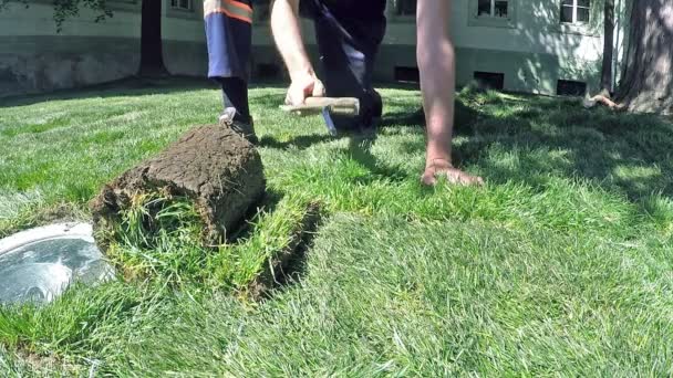 잔디에 도끼를 타격 하는 잔디를 남자 포석. — 비디오