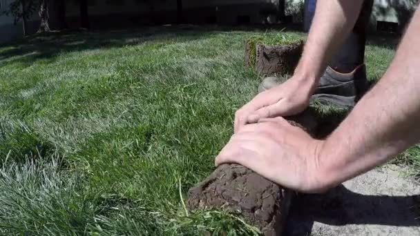 Desenrollar césped hierba y golpear un hacha en la hierba — Vídeo de stock