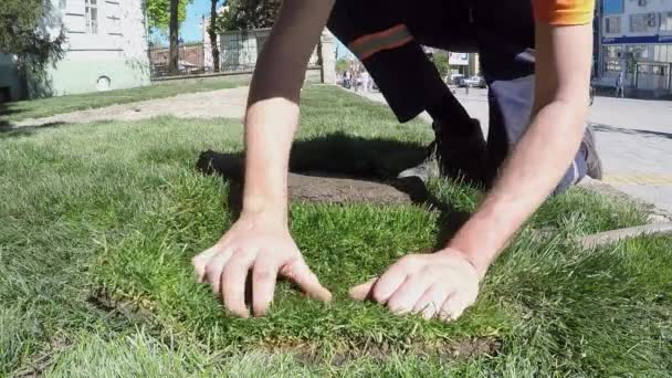 Fixação grama relva para o novo gramado câmera lenta — Vídeo de Stock