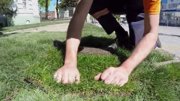 새로운 잔디밭을 위한 뗏 장 잔디를 고정 — 비디오