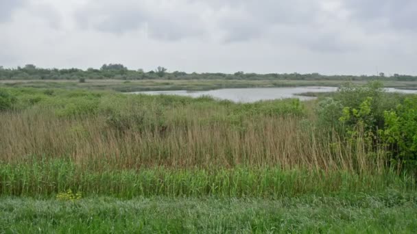 Paisaje de la Reserva Natural — Vídeo de stock