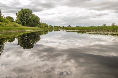 Manzara nehir, ağaçlar, gökyüzü ve Bullrush yansıtan bir Rive