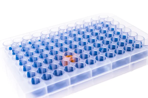Well plate with samples