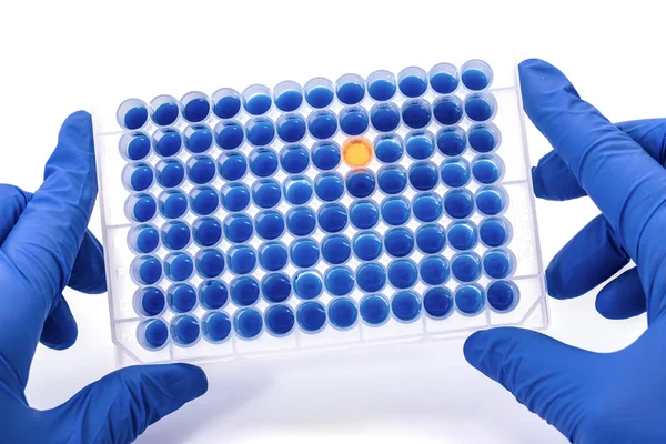 Well plate with samples — Stock Photo, Image