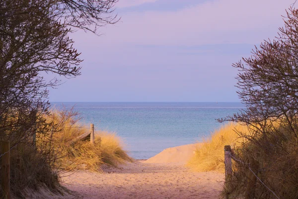 Plaży Morza Bałtyckiego z plaży trawa — Zdjęcie stockowe