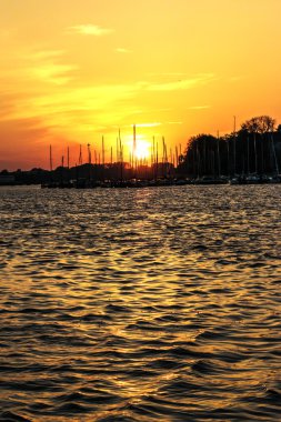 Güzel altın gün batımında denize.