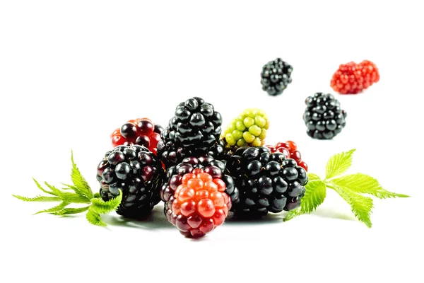 Fresh blackberries with leaves. Isolated on white background. — Stock Photo, Image
