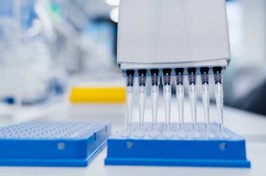 8 kanallı pipet ve 96 kuyulu test plakası. Genetik laboratuvar araştırma teknisyeni. Tıbbi araştırma laboratuarı. DNA örneklerinin arındırılması.