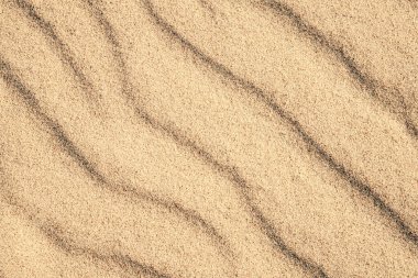 Sahil manzarasını kapat..