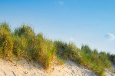 Rostock 'taki Baltık Denizi kıyısında ve kumulda.